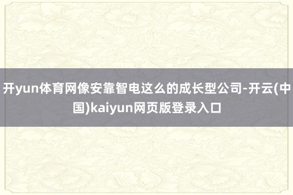 开yun体育网像安靠智电这么的成长型公司-开云(中国)kaiyun网页版登录入口
