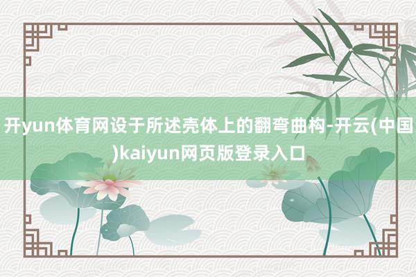 开yun体育网设于所述壳体上的翻弯曲构-开云(中国)kaiyun网页版登录入口
