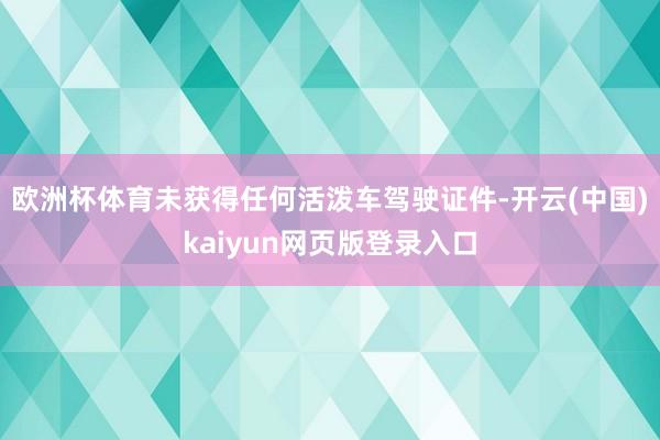 欧洲杯体育未获得任何活泼车驾驶证件-开云(中国)kaiyun网页版登录入口