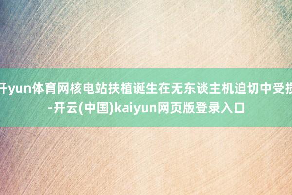 开yun体育网核电站扶植诞生在无东谈主机迫切中受损-开云(中国)kaiyun网页版登录入口